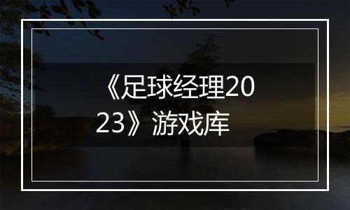 《足球经理2023》游戏库