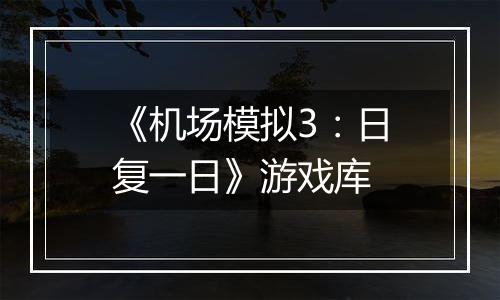 《机场模拟3：日复一日》游戏库