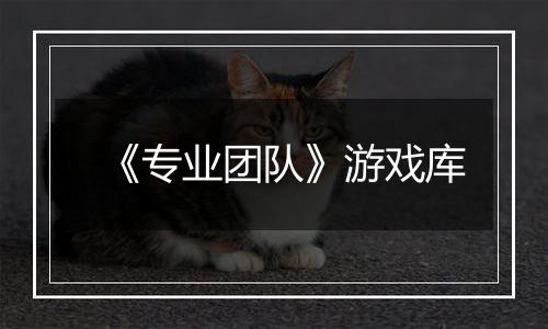 《专业团队》游戏库