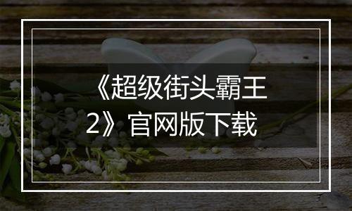 《超级街头霸王2》官网版下载