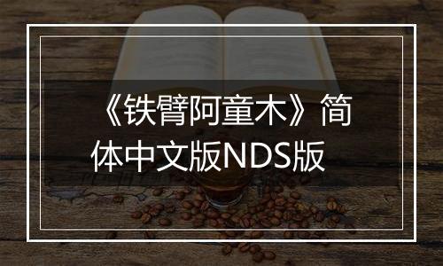 《铁臂阿童木》简体中文版NDS版