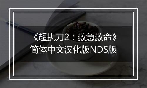 《超执刀2：救急救命》简体中文汉化版NDS版