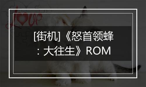 [街机]《怒首领蜂：大往生》ROM
