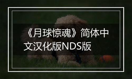 《月球惊魂》简体中文汉化版NDS版