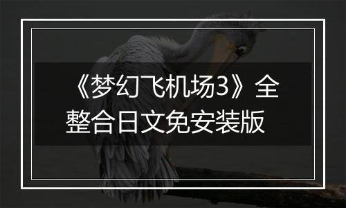 《梦幻飞机场3》全整合日文免安装版