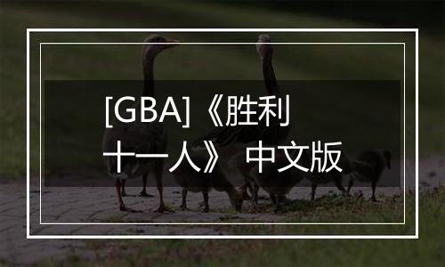 [GBA]《胜利十一人》 中文版