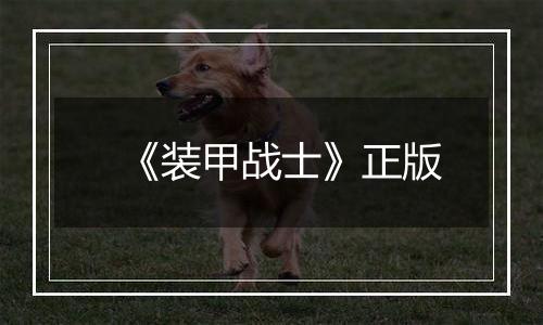 《装甲战士》正版