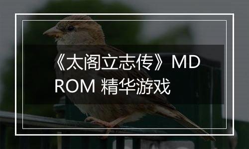 《太阁立志传》MD ROM 精华游戏