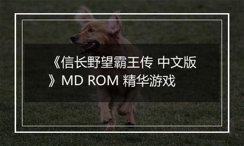 《信长野望霸王传 中文版》MD ROM 精华游戏