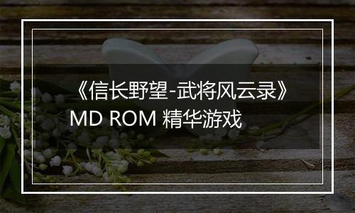 《信长野望-武将风云录》MD ROM 精华游戏