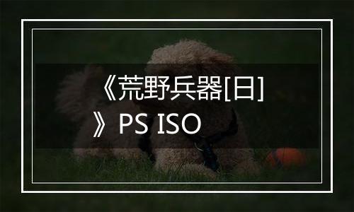 《荒野兵器[日]》PS ISO