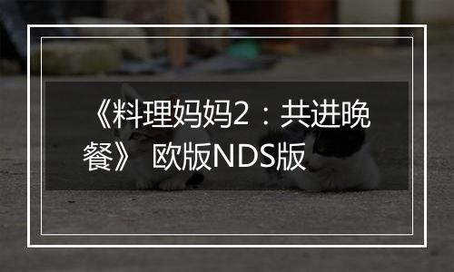 《料理妈妈2：共进晚餐》 欧版NDS版