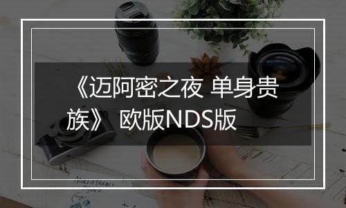 《迈阿密之夜 单身贵族》 欧版NDS版
