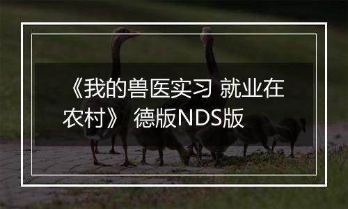 《我的兽医实习 就业在农村》 德版NDS版