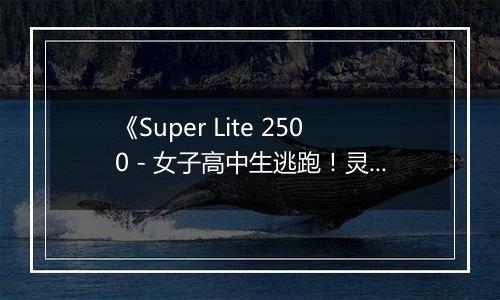 《Super Lite 2500 - 女子高中生逃跑！灵异解谜学园》 日版NDS版