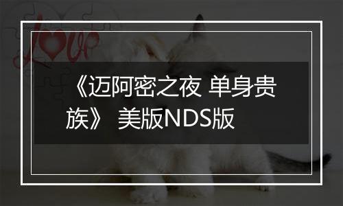 《迈阿密之夜 单身贵族》 美版NDS版