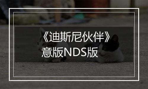 《迪斯尼伙伴》 意版NDS版
