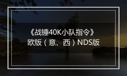 《战锤40K小队指令》 欧版（意、西）NDS版