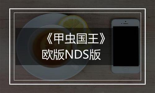 《甲虫国王》 欧版NDS版