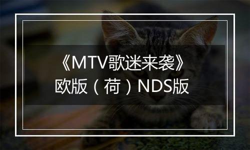 《MTV歌迷来袭》 欧版（荷）NDS版