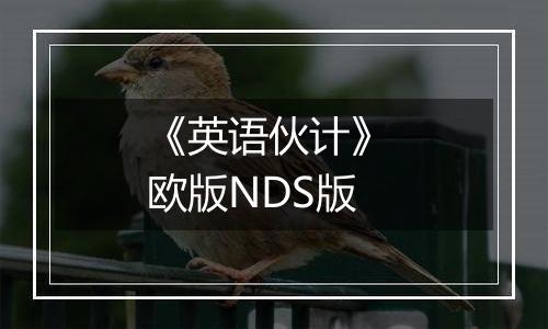 《英语伙计》 欧版NDS版