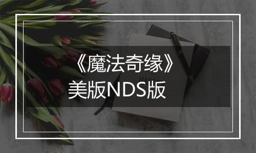 《魔法奇缘》 美版NDS版