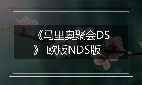 《马里奥聚会DS》 欧版NDS版