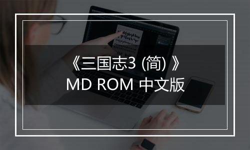 《三国志3 (简) 》MD ROM 中文版