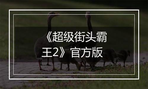 《超级街头霸王2》官方版