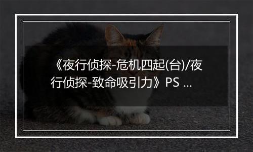 《夜行侦探-危机四起(台)/夜行侦探-致命吸引力》PS ISO