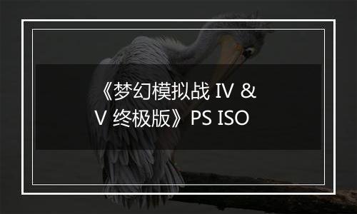 《梦幻模拟战 IV & V 终极版》PS ISO