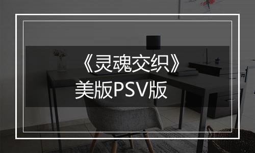 《灵魂交织》美版PSV版
