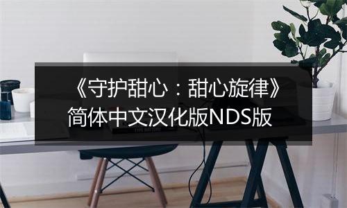 《守护甜心：甜心旋律》简体中文汉化版NDS版