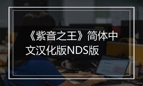 《紫音之王》简体中文汉化版NDS版